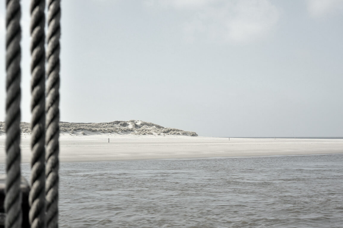 Random header banner 1