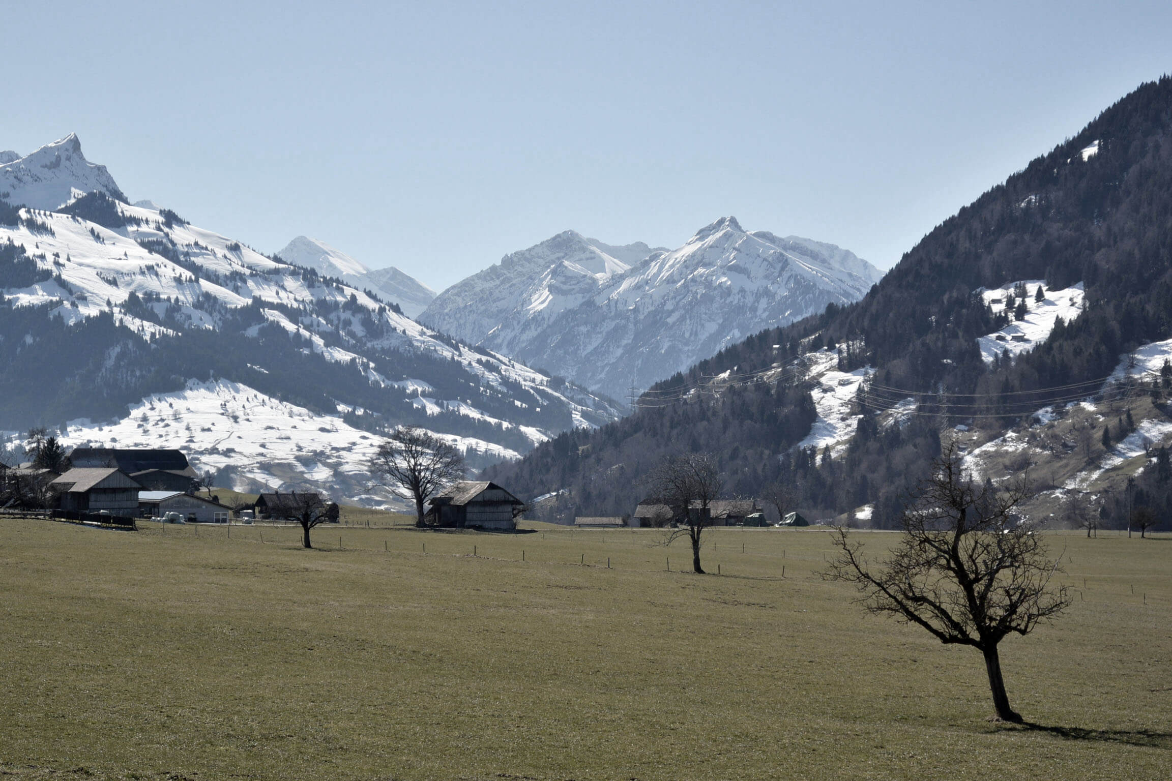 Random header banner 4